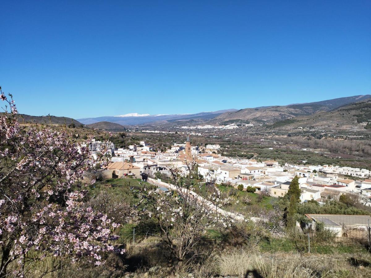 Los Olivos De Fondon Екстер'єр фото